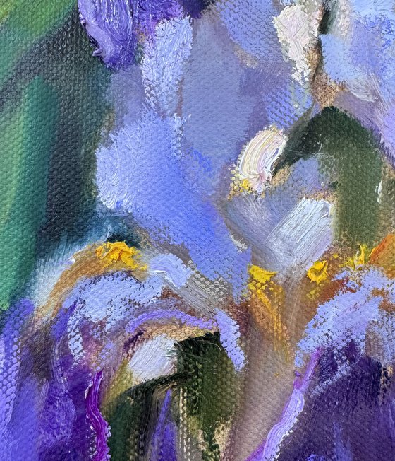 Rhythm of Irises