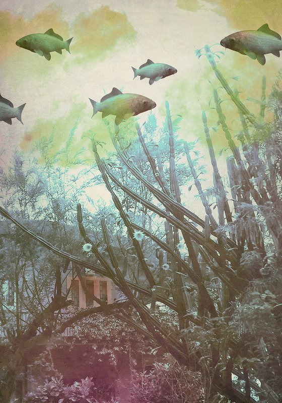 untitled - 31B