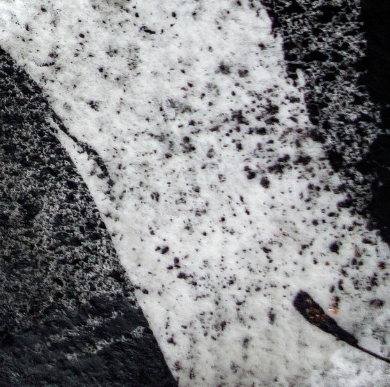 Frozen Pond 6