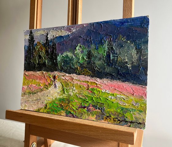 Flowery Mountain Meadows