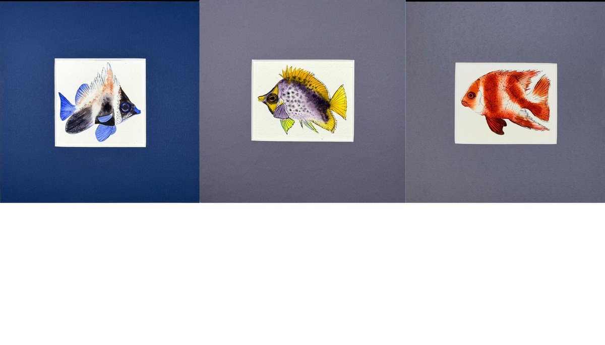 Expressive Animal Watercolour By Yuliia Sharapova, 24 X 8", Three Exotic Colorful Fish, Original Artwork