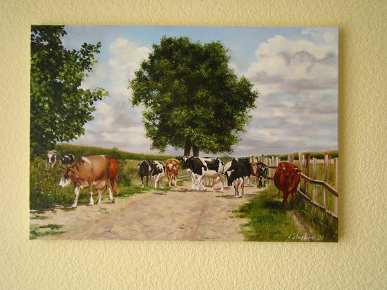 Cow Herd, Pastoral Farm Scene