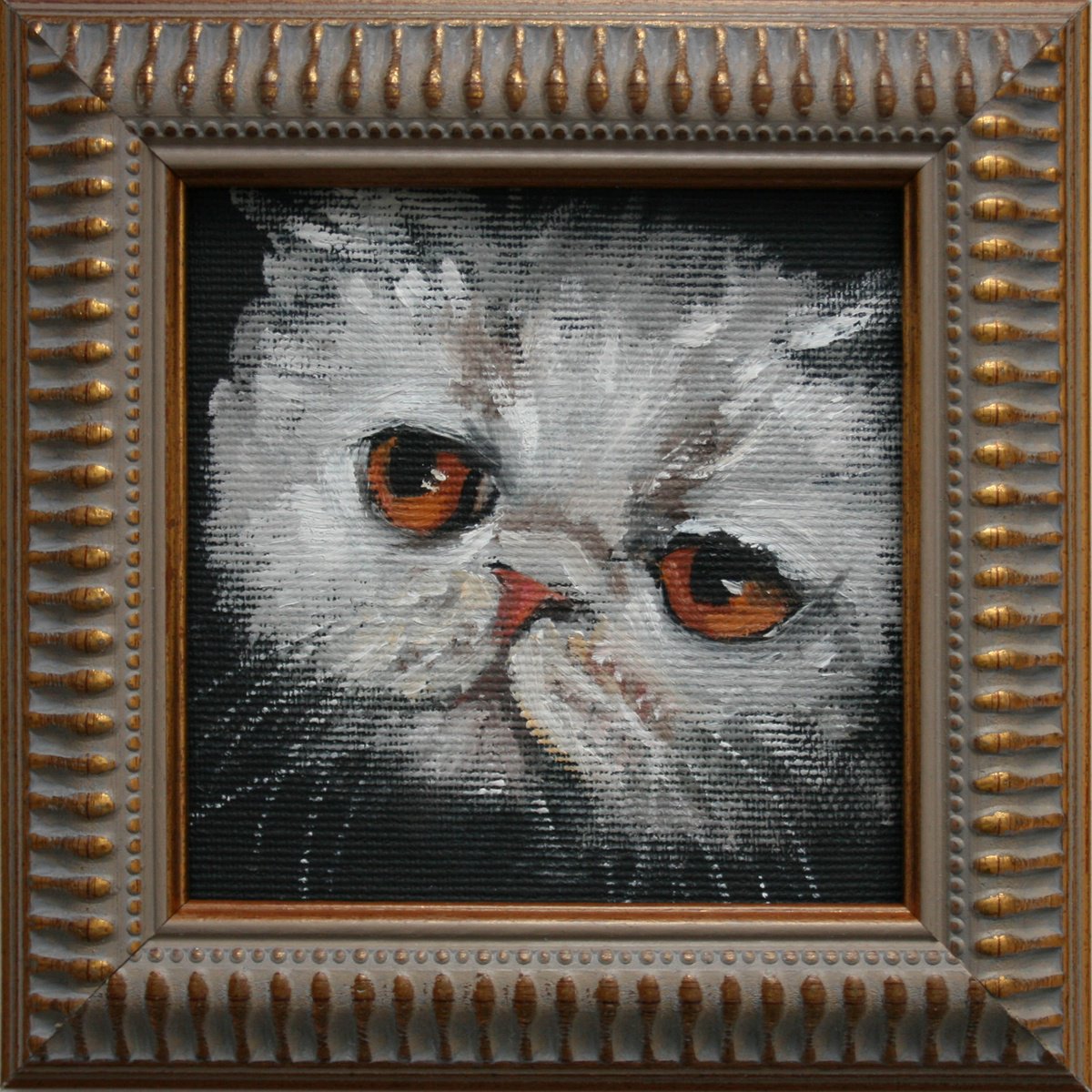 Cat Vi By Salana Art / Svetlana Samovarova, 6 X 6, Artwork For Sale On Artfinder