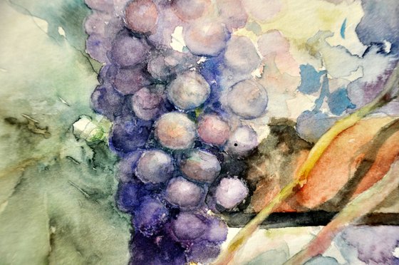 I EAT THE SWEET GRAPES original watercolor