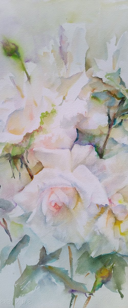 White roses by Irina Bibik-Chkolian