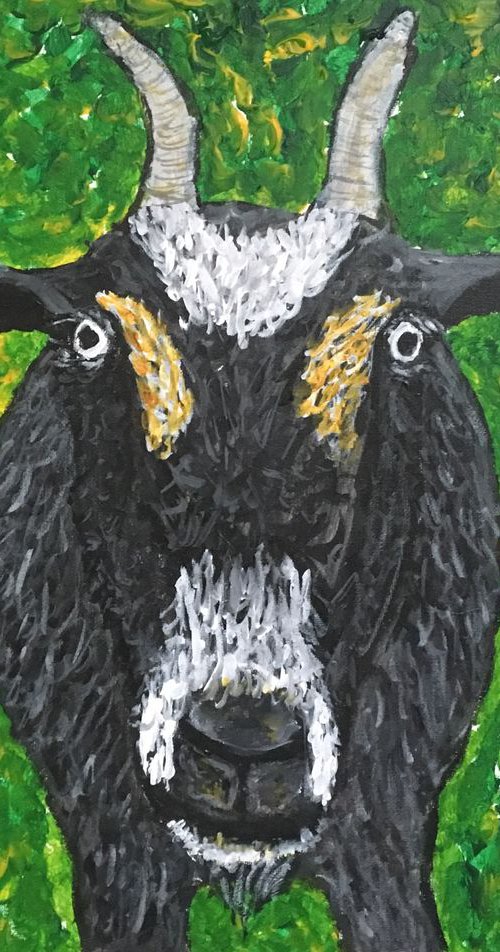 Ruby The Goat by Robbie Potter
