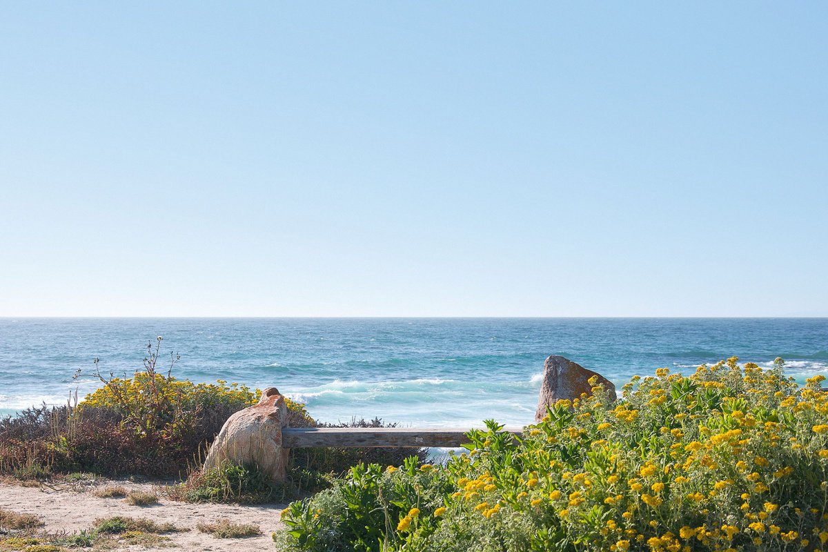 Surrealistic Landscape Photograph By Journey Gong, 24 X 16", When Wildflowers Bloom, Original Artwork