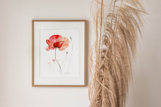 Watercolor poppy flower