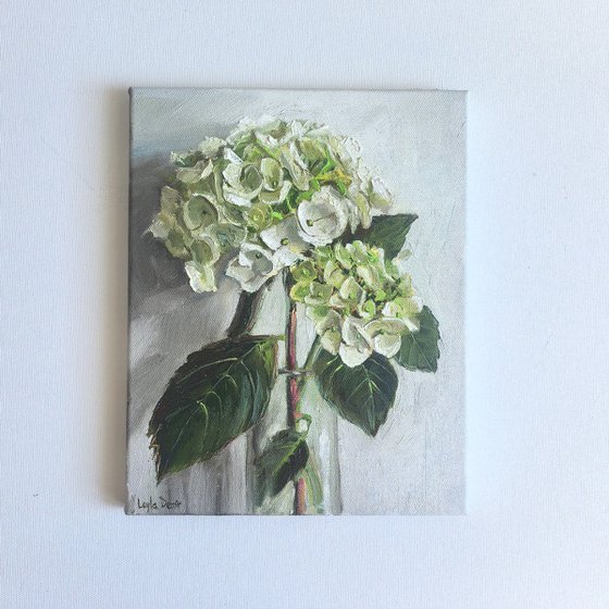 White hydrangea flower