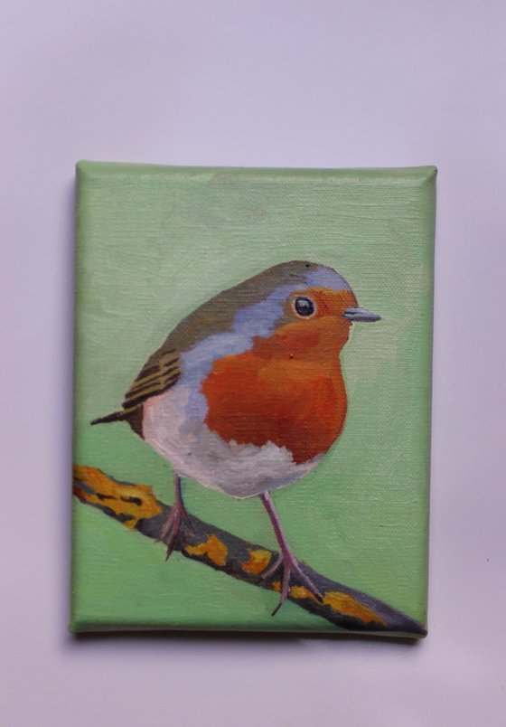 Robin On A Branch