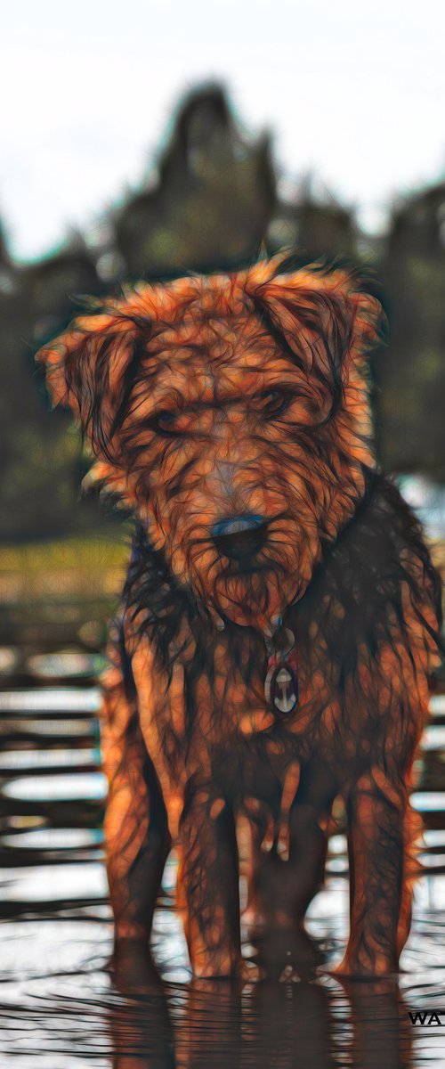 Airedale at Play by Marlene Watson