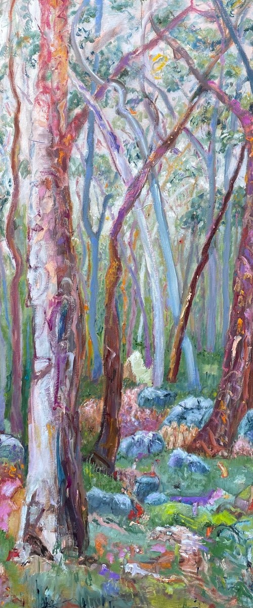 THE ROCKS by Maureen Finck
