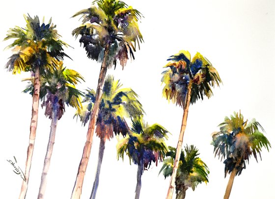 Californian Palm Trees from The Beach
