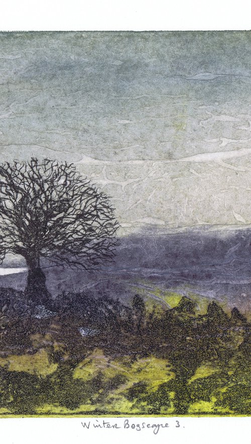 Winter Bogscape 3 -  Ireland by Aidan Flanagan Irish Landscapes