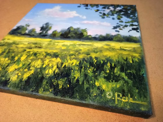 Blooming meadow