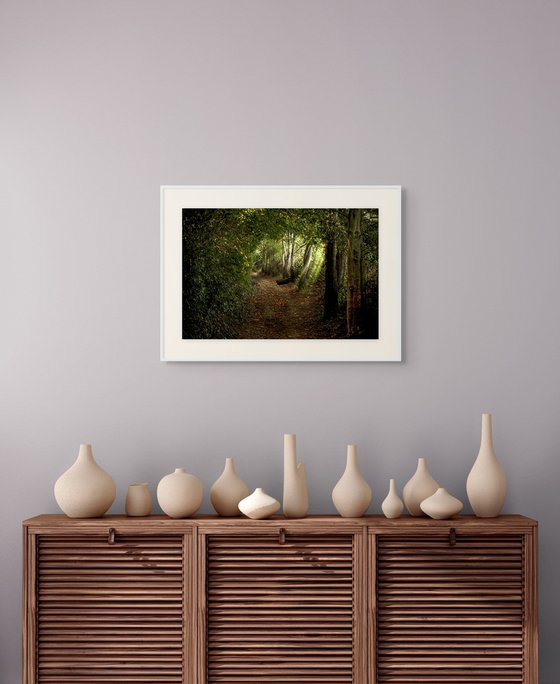 The Path to Flimwell