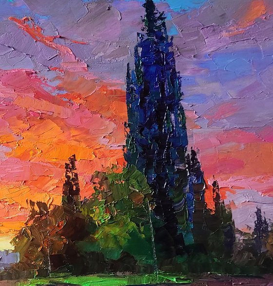 Morning After the Rain