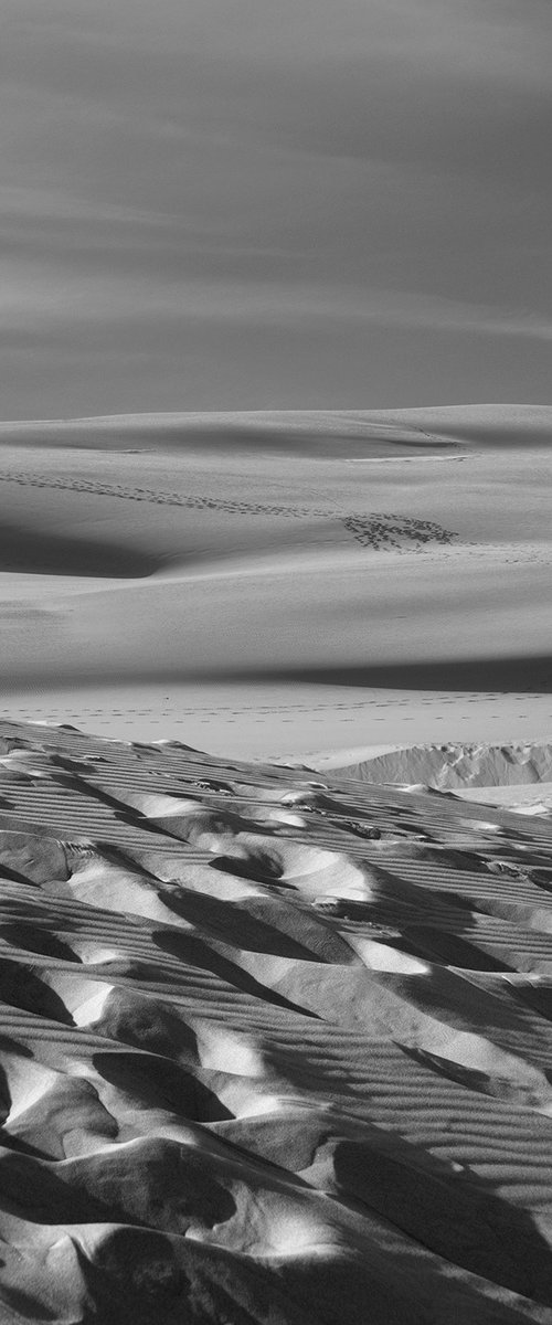 The dunes by Jacek Falmur