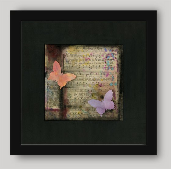 Butterfly Medley Collection 3