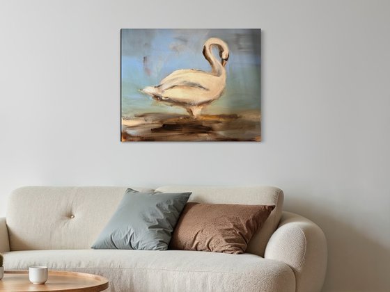 The Swan
