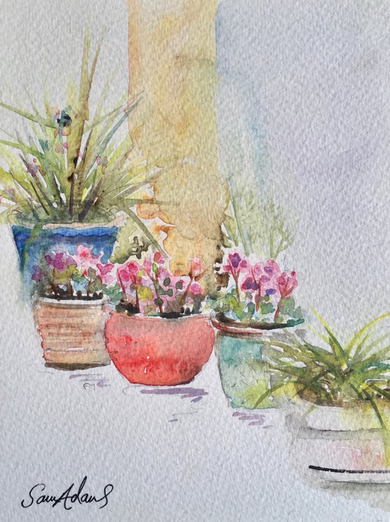 Flowers and grasses in pots