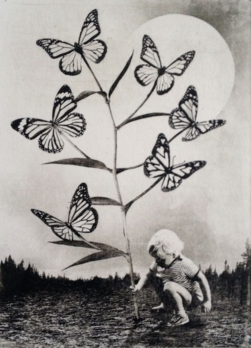 Surrealistic Portrait Etchings & Engravings By Jaco Putker, 8 X 11, The Boy And The Tree, Original Artwork