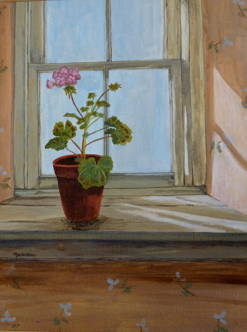 Window with Pink Geranium by Maddalena Pacini