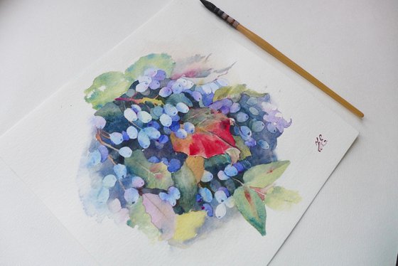 Berries in watercolor, art for kitchen of blue Magonia bush