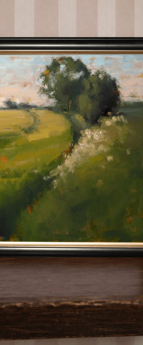 Barnsley Hall Drive by Jade Eynon