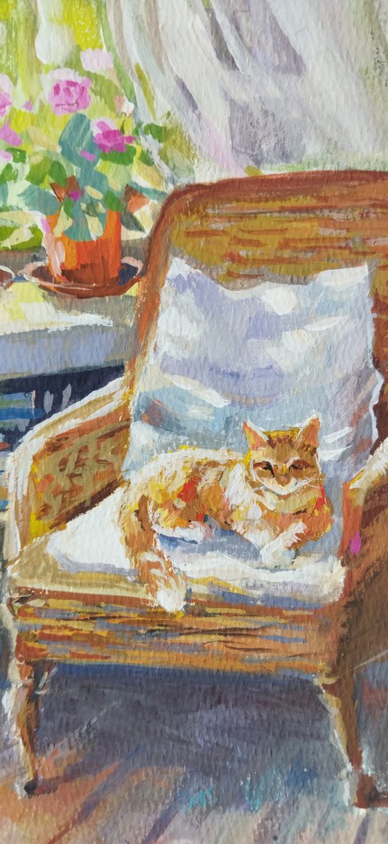 Cat in the Light
