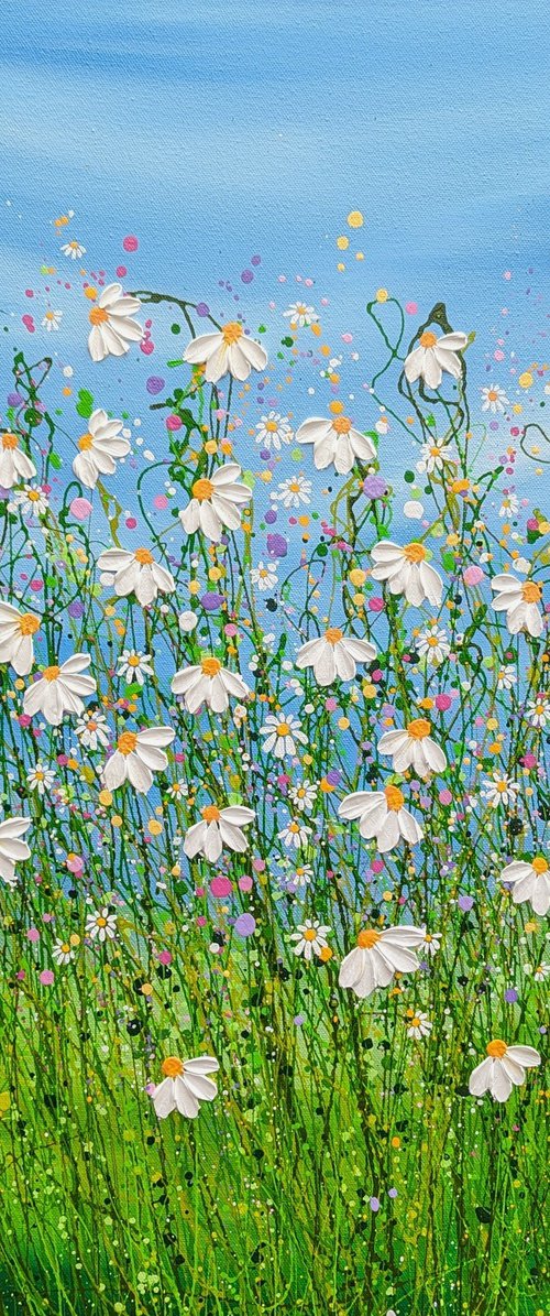 Daises in Bloom by Lucy Moore