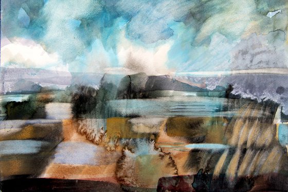 Salt Marshes