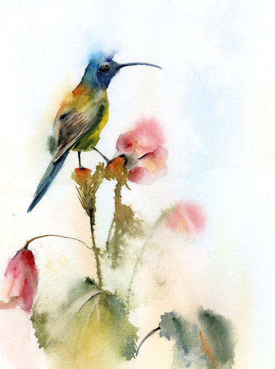 Hummingbird Diptych #2