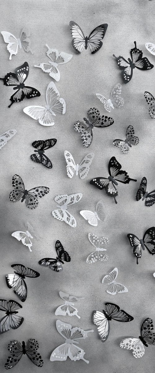 Mono metamorphosis by Sumit Mehndiratta