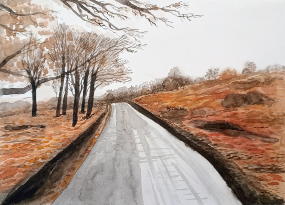 New Forest Road by Kitty  Cooper