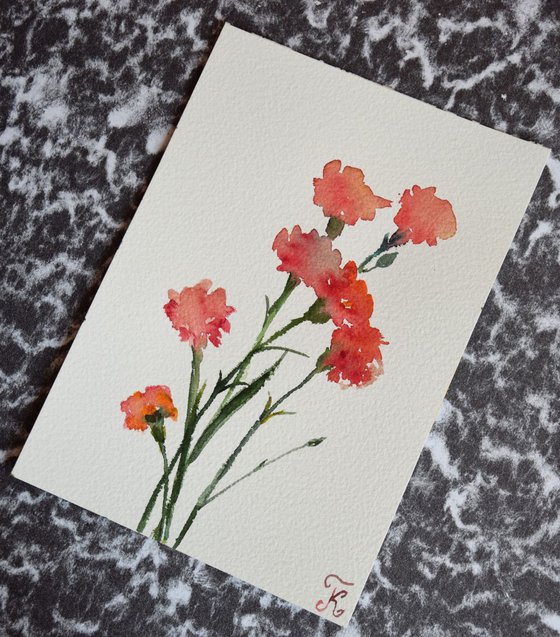 Flowers red Dianthus Watercolor painting