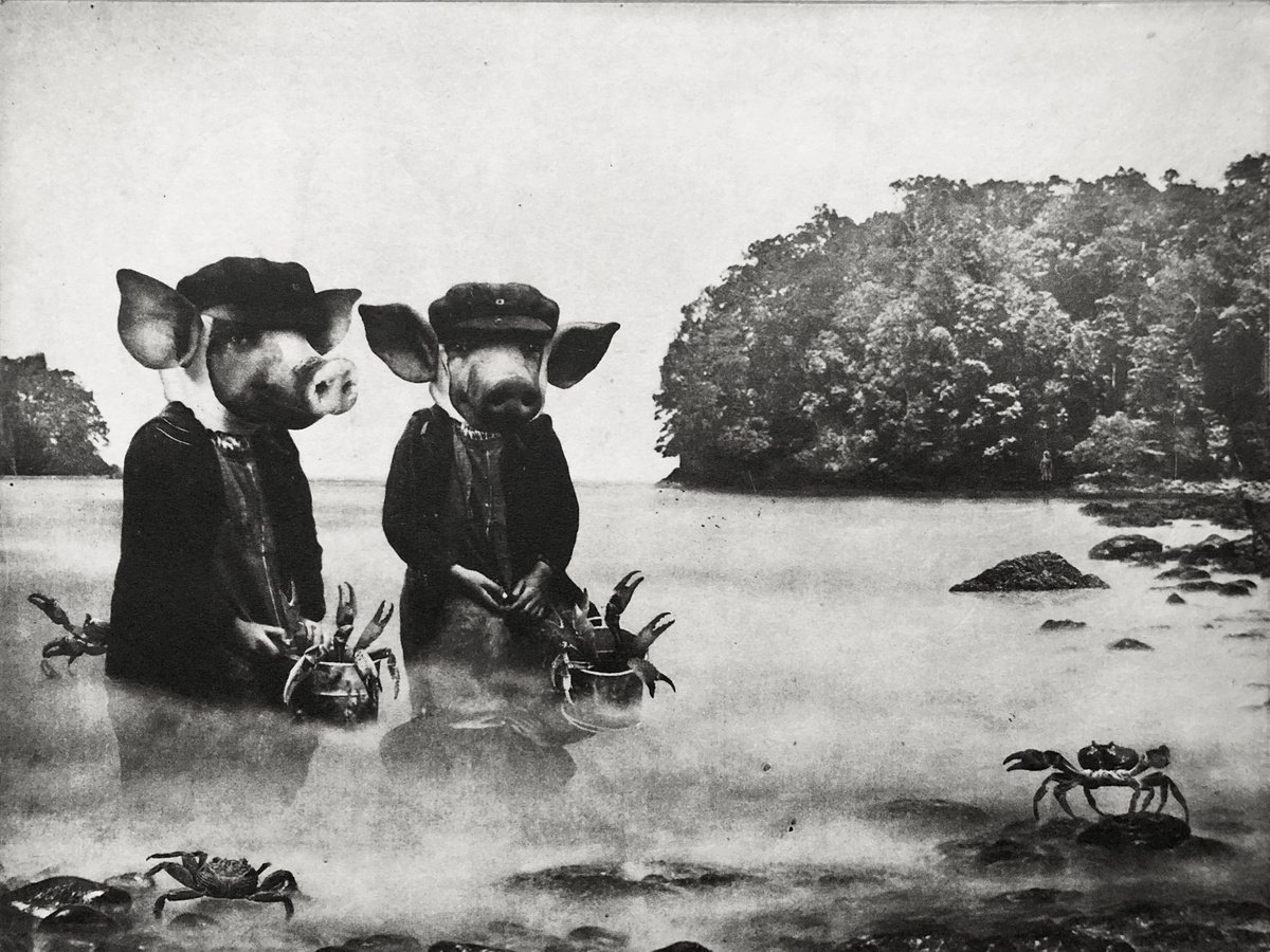 Surrealistic Portrait Etchings & Engravings By Jaco Putker, 13 X 10, The Crab Foragers, Original Artwork