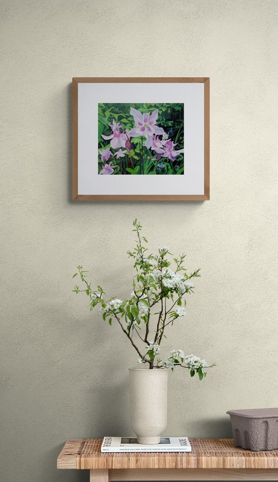 Aquilegia Flowers