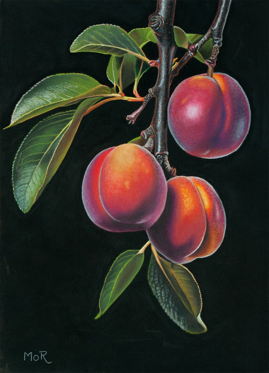 Photorealistic Still Life Pastel Drawing By Dietrich Moravec, 12 X 16, Before The Fall, Original Artwork