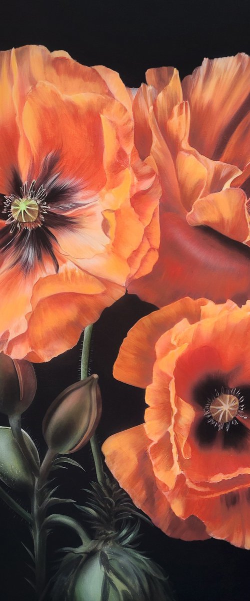 Realism poppies acrylic, Realism painting flowers,  flower art,  painting hyperrealism by Svitlana Brazhnikova