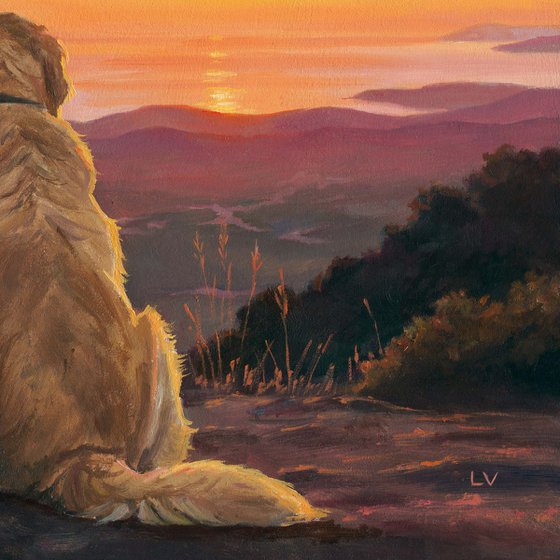 Boy sitting with a Golden Retriever dog