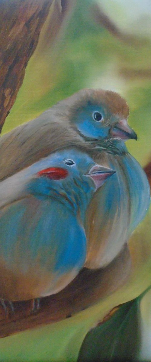 Love Birds by Timea  Valsami