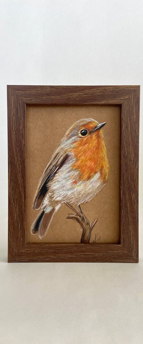 Bird drawing Robin bird mini art framed 11x15 cute mini art by Leysan Khasanova