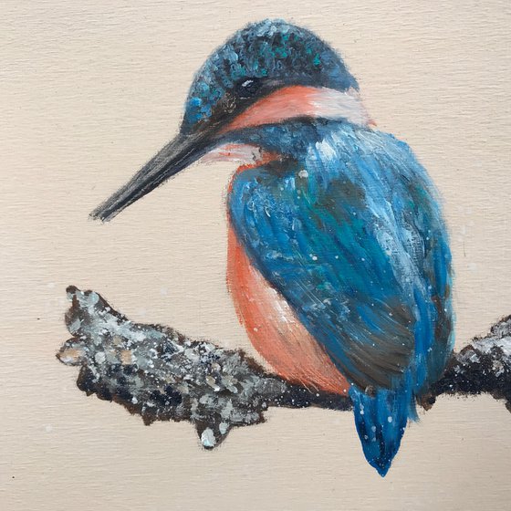 Kingfisher