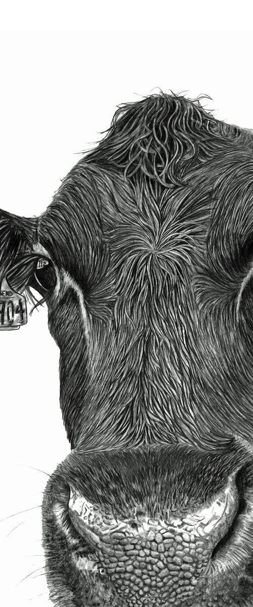 Moo Cow by Paul Stowe