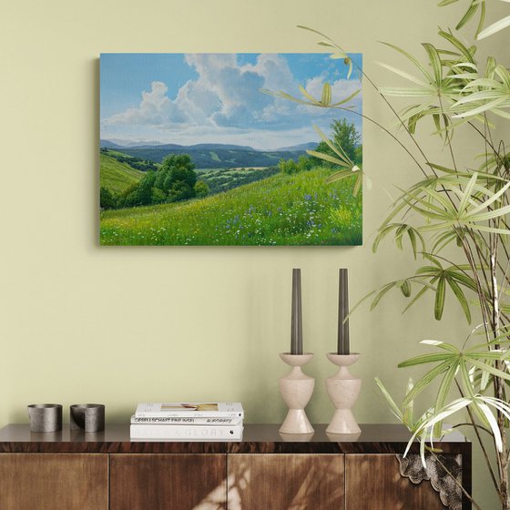 Meadows of early summer