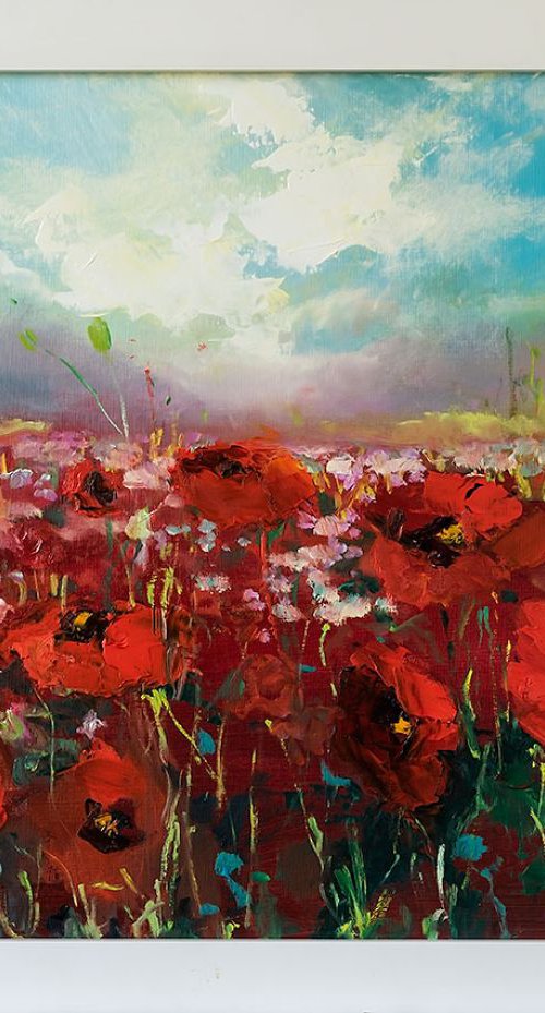 'Red Poppy Field' by Ewa Czarniecka