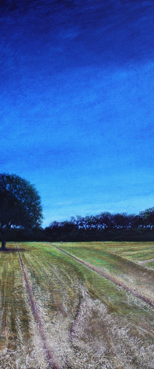 The Lone Chestnut by Simon Jones