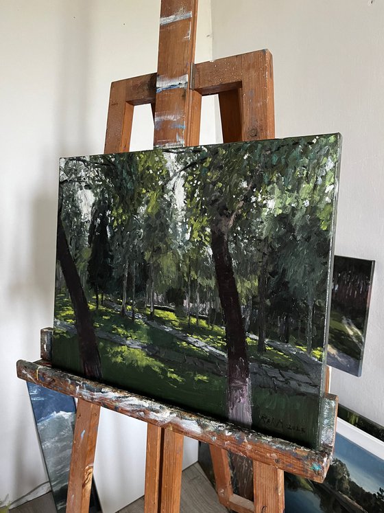 The Birch Park