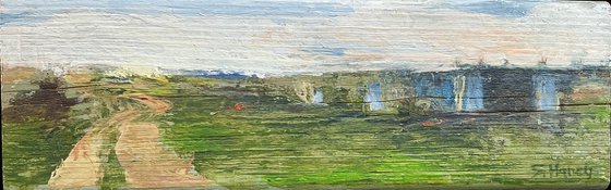 Allotment Landscape
